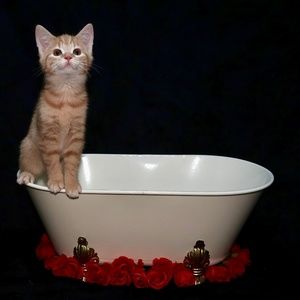 Meet your Posher, Johanna